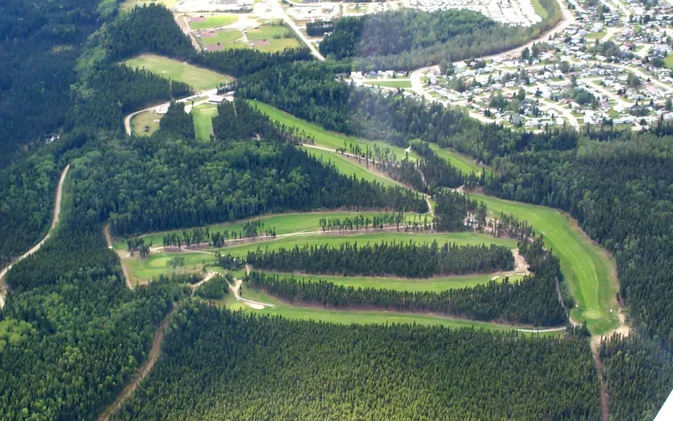 Mackenzie and the forest around it from the air