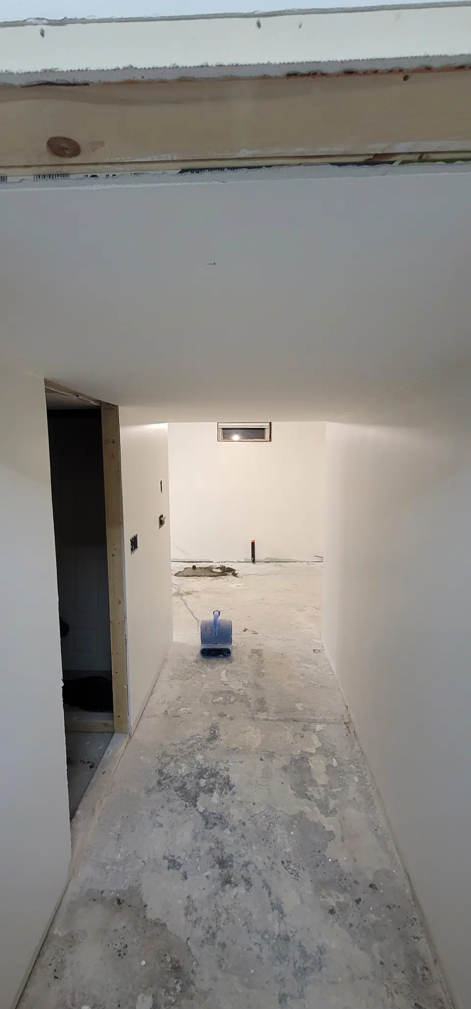 Basement suite: demolition, plumbing and drywall, photo 8 of 29 (in progress)