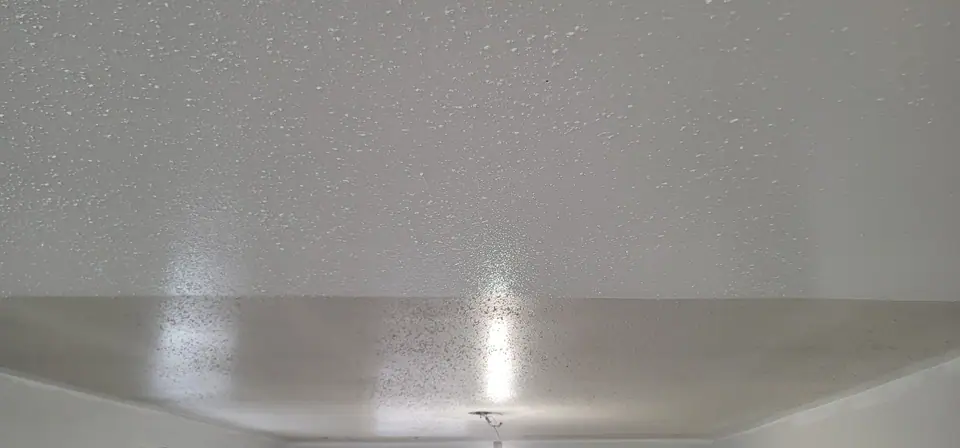 Whole-Home Renovations: Zenith job-site photo